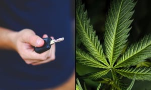 State With Legal Marijuana Have Less Impaired Driving, Study Finds