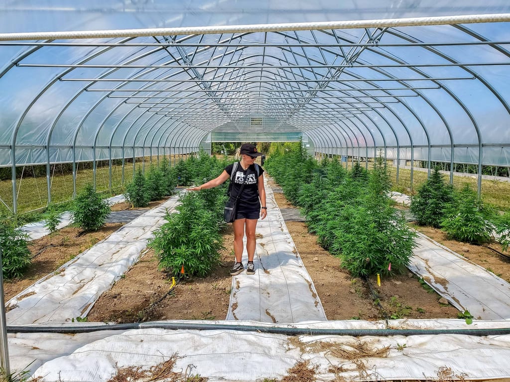 Ashley Hemp tour Cornell