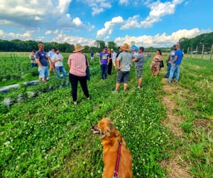 Tap Root Fields Farm Tour
