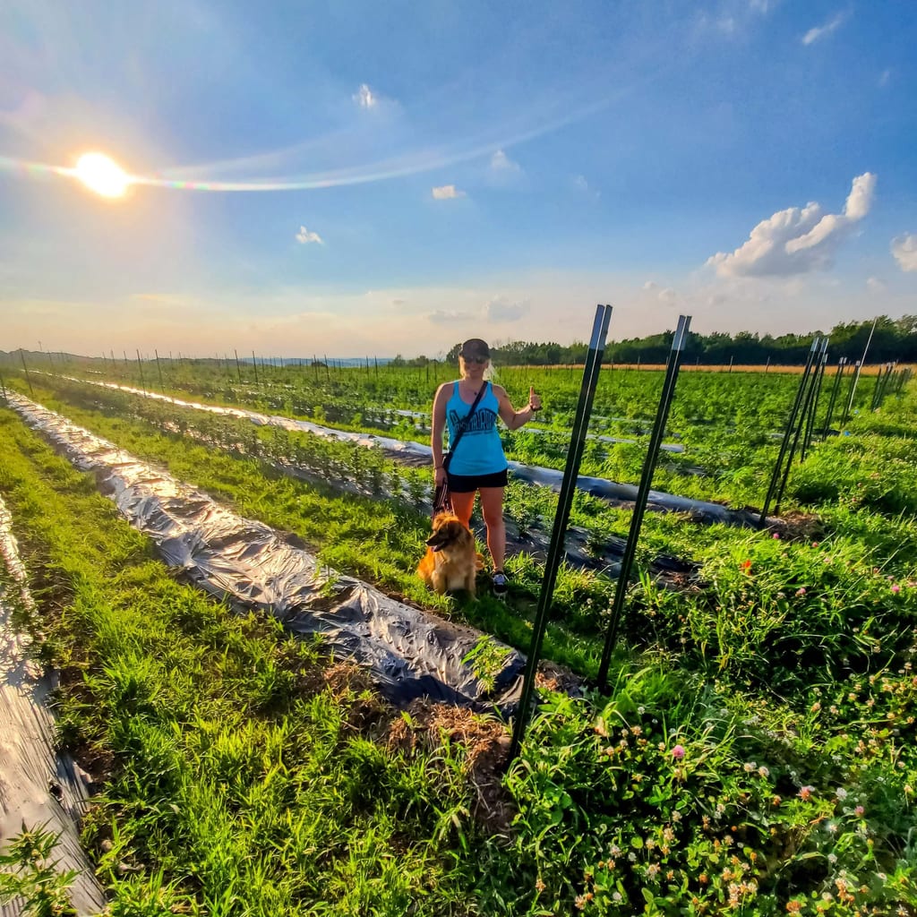 Ashley- Taproot Farm Tour
