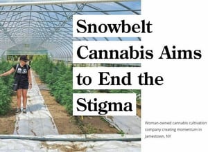 Snowbelt Press