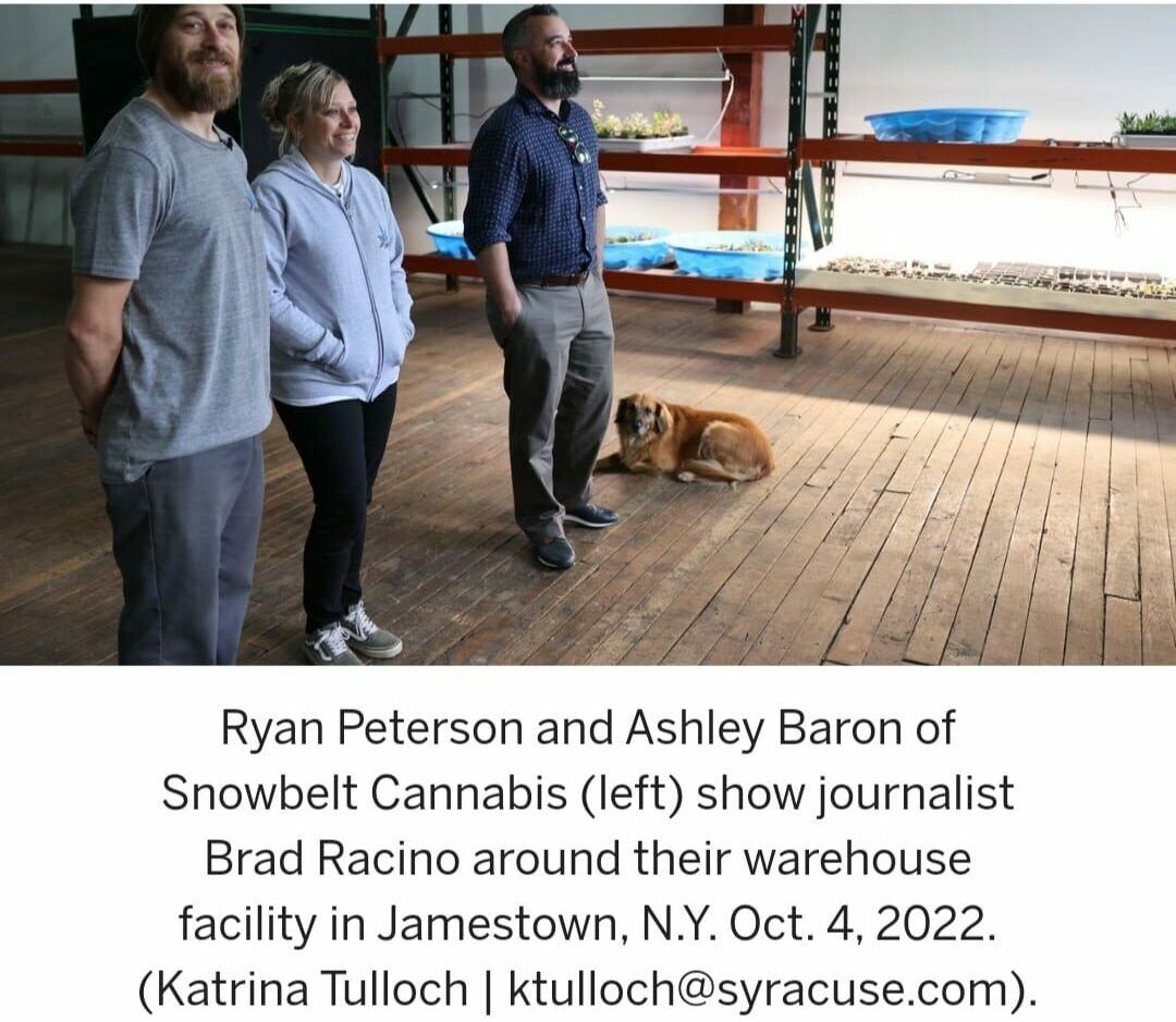 NY Cannabis Insider
