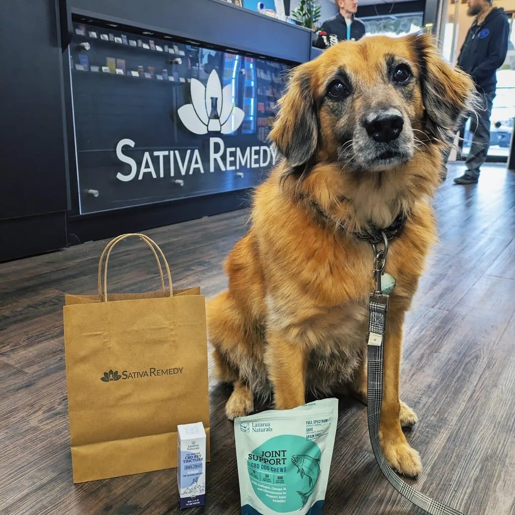 Sativa Remedy